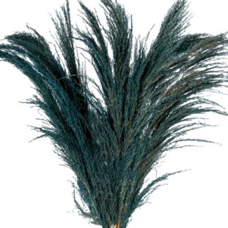 Rama Caña Natural Azul 110cm
