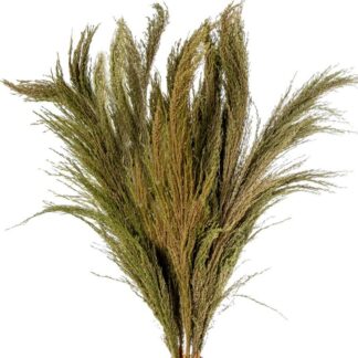Rama Caña Natural Verde 110cm