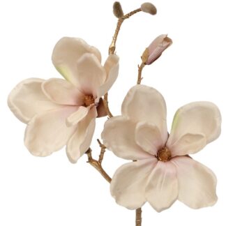 Rama Dorada C/flores Rosa 50cm