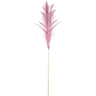 Rama Hierba De Pampa Rosa Algodón 60cm