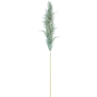 Rama Hierba De Pampa Verde Algodón 60cm