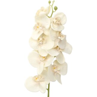 Rama Natural C/orquideas Crema 96cm