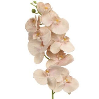 Rama Natural C/orquideas Rosa 96cm