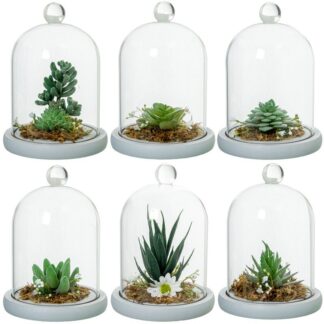 Urna Cristal C/base Madera Y Cactus Artificiales Surt. Ø11,5x14,5cm