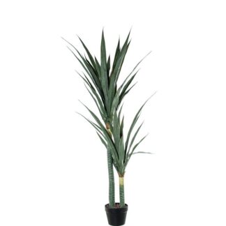 Planta Artificial Dracaena 145cm 2 Troncos Pe+pvc Ø50x145cm Maceta:ø17x14cm